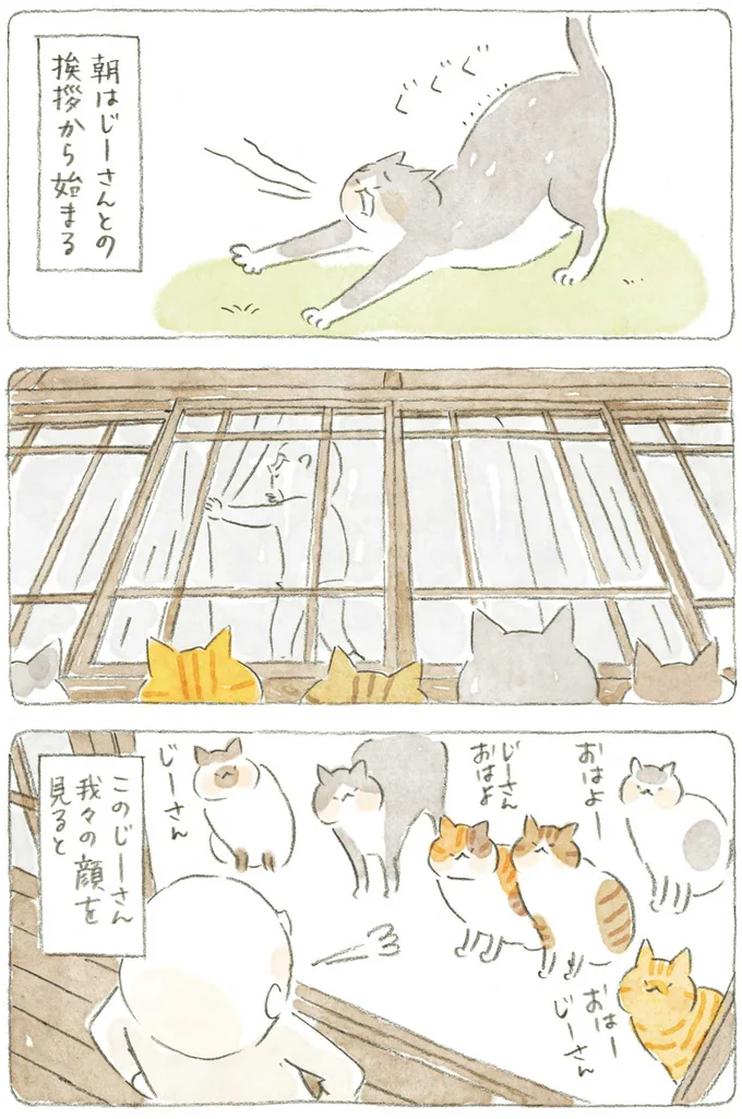 じーさんとの挨拶から始まる