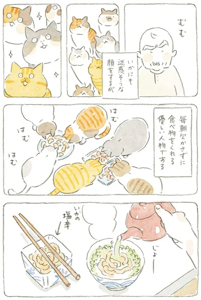 毎朝欠かさず