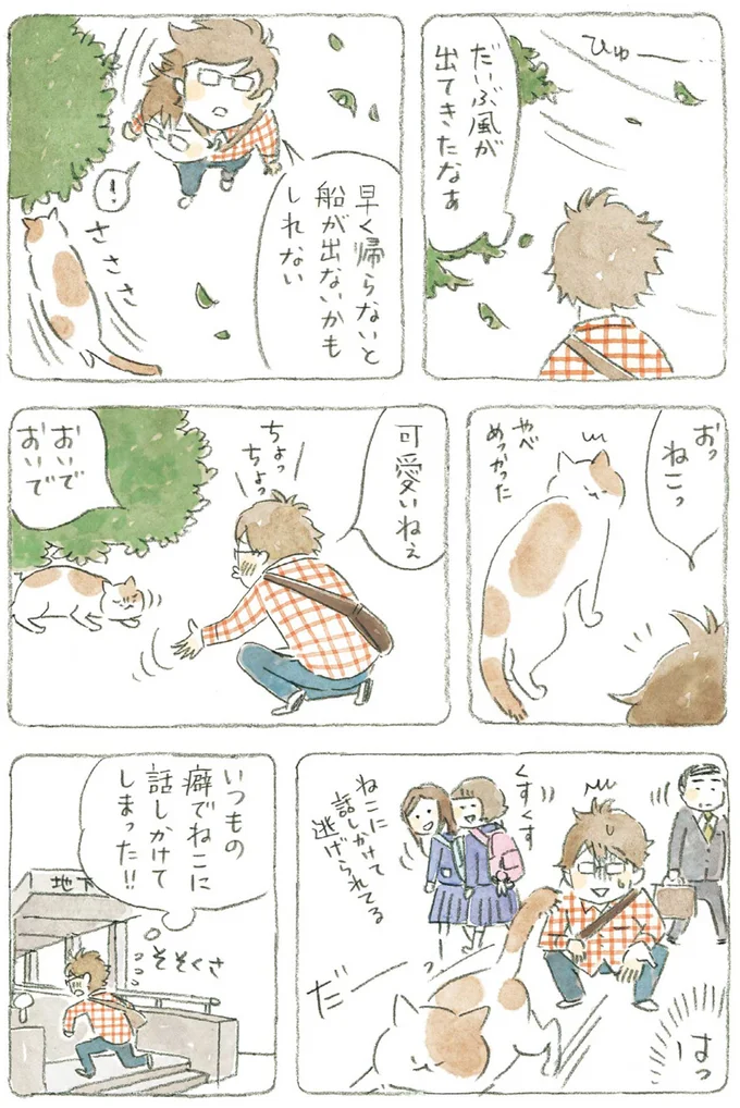 だいぶ風が出てきたなぁ