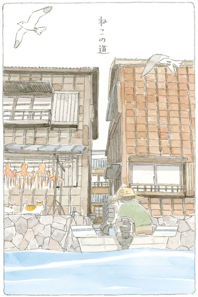 猫の道