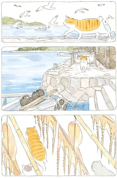歩く猫