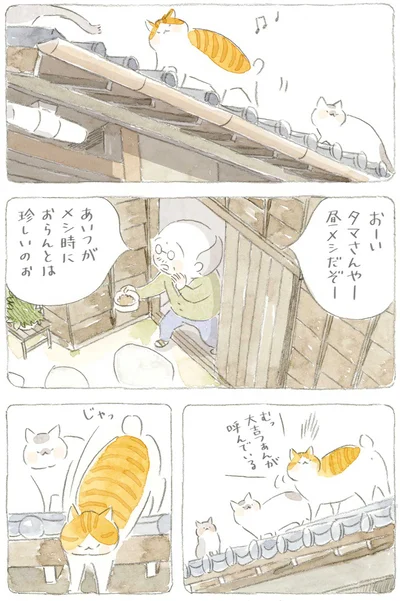 あいつがメシ時におらんとは