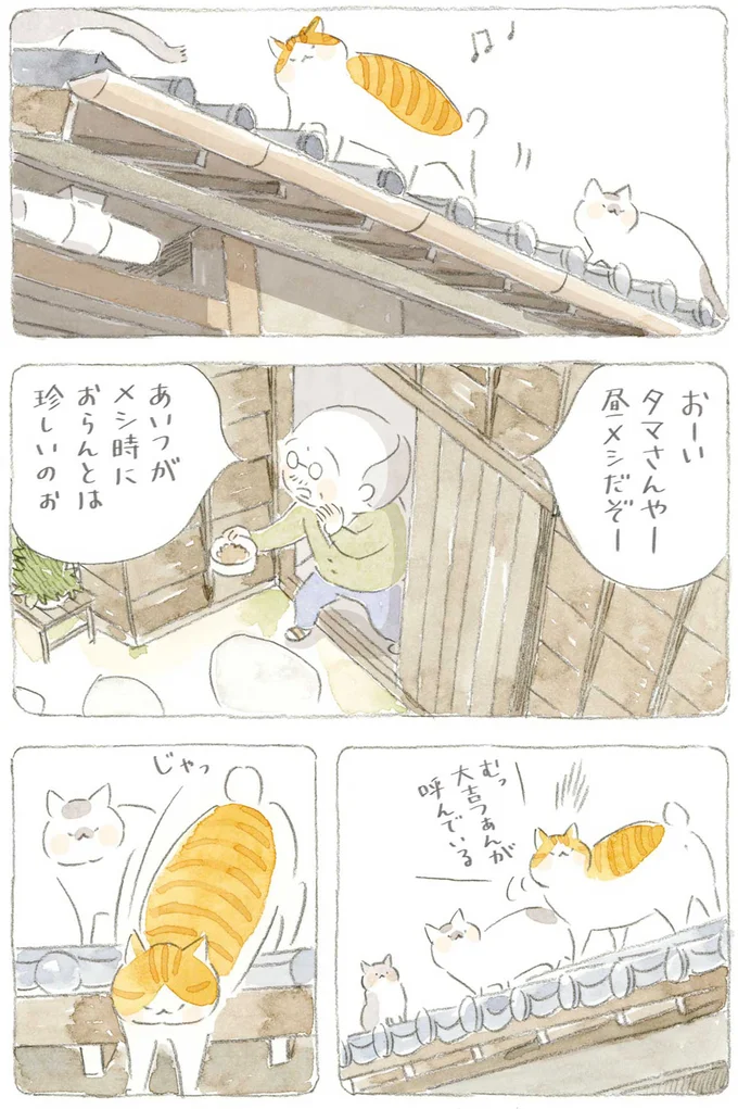 あいつがメシ時におらんとは