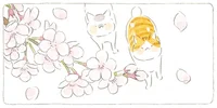 漁港を通り民家の塀でお花見。島内を自由気ままに散歩する猫たち