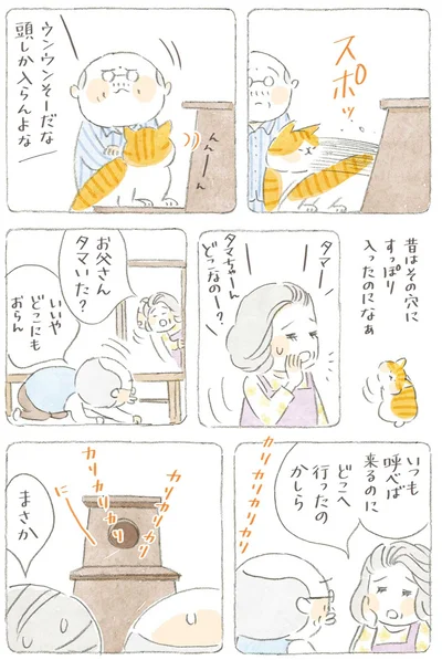 昔はその穴にすっぽり入ったのになぁ