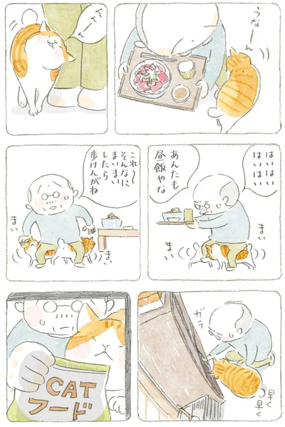 あんたも昼飯やな