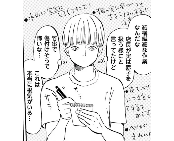 毎年恒例の梅仕事。「梅のヘソ取り」は根気が必要!?／雑貨店とある（6）