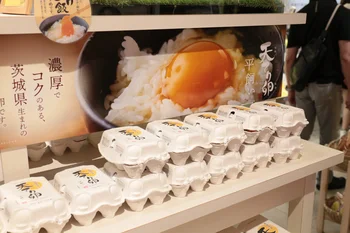 「道の駅 常総」で茨城グルメを食べつくし！ ブランド卵を贅沢な卵かけごはんにしてみたら