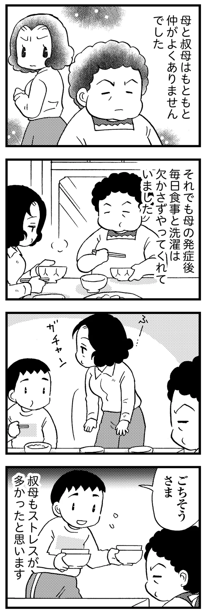 母と叔母はもともと仲がよくありませんでした