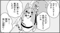 元気いっぱいのコーギーくんとおでかけ。キャンピングカーの旅は発見がたくさん！