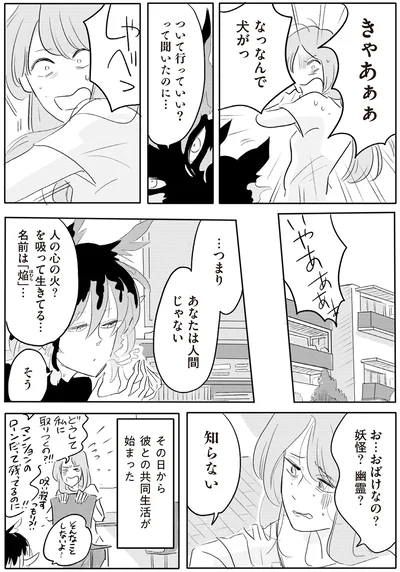 …つまりあなたは人間じゃない