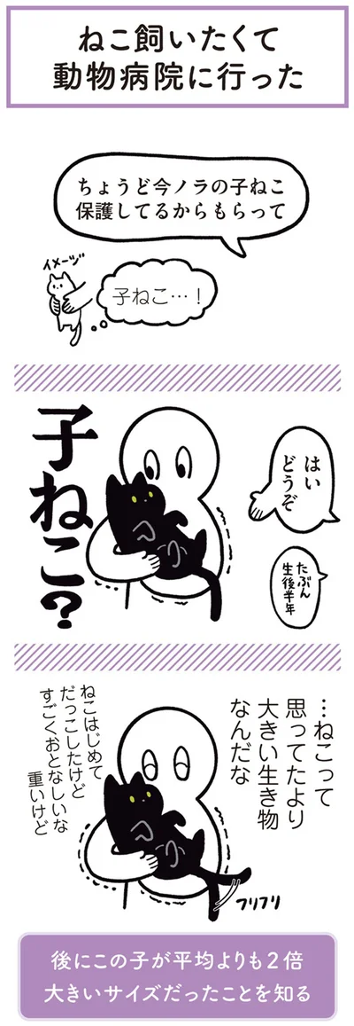 黒猫ろんと暮らしたら-1