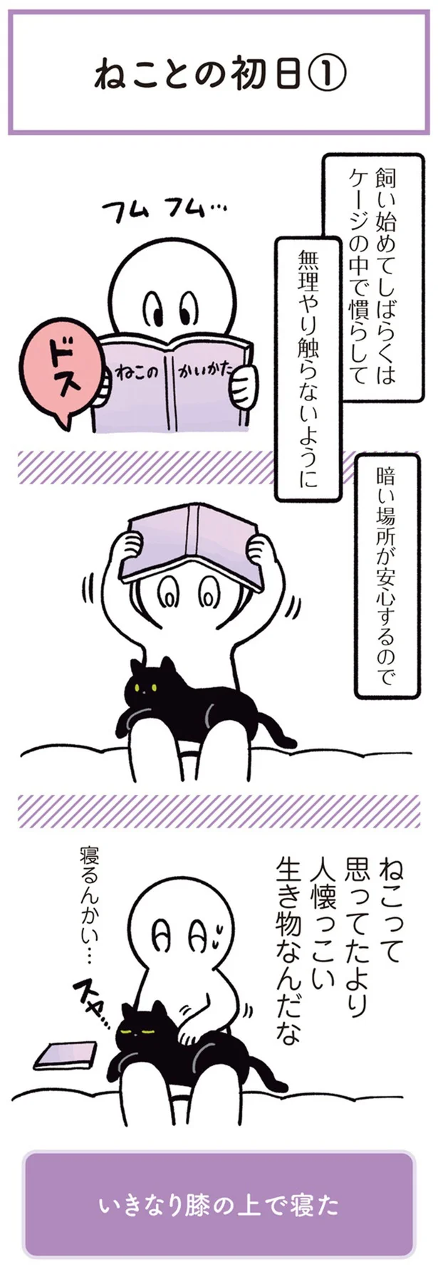 黒猫ろんと暮らしたら-3