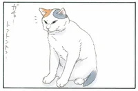 猫好きでなきゃ見逃しちゃうね！ 飼い主が思う「好きな猫の動作」