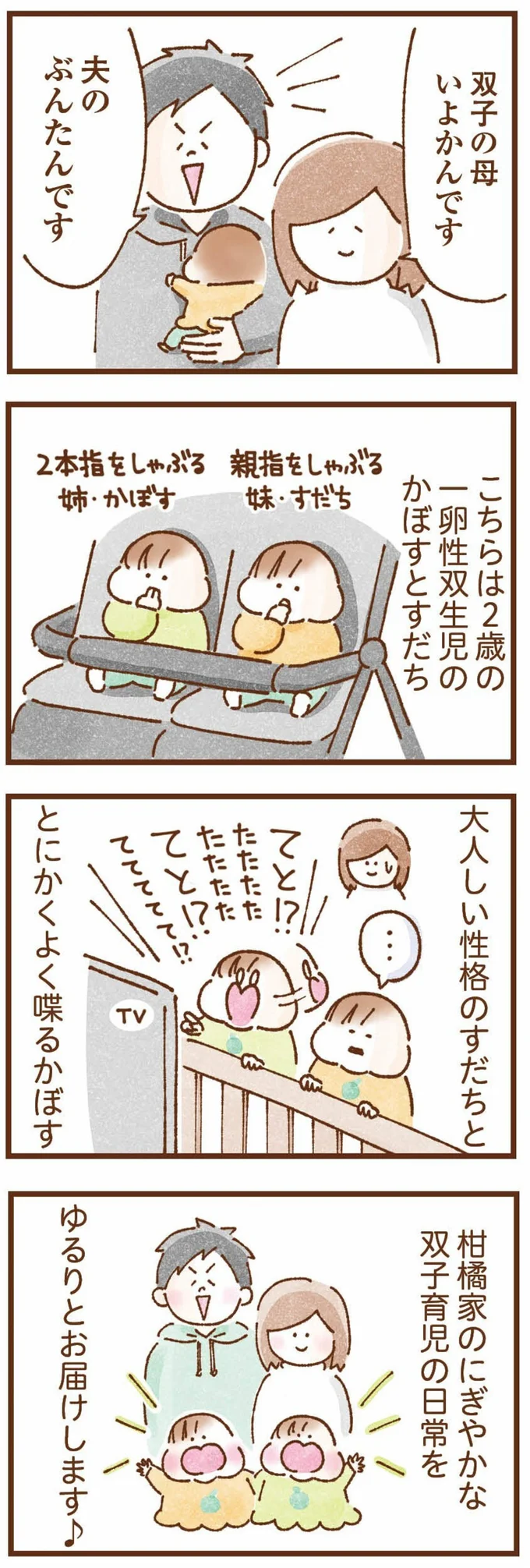 双子育児のにぎやかな日常