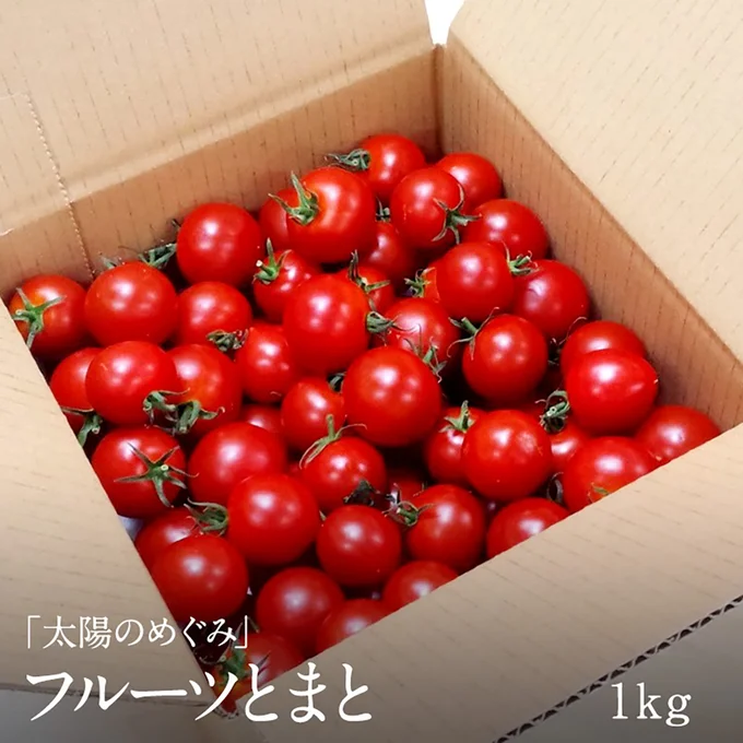 甘みが強く濃厚なトマトたっぷり1kg！