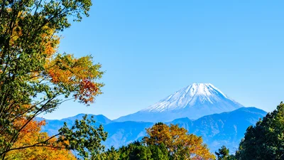 今回は山梨県のふるさと納税オススメ品！
