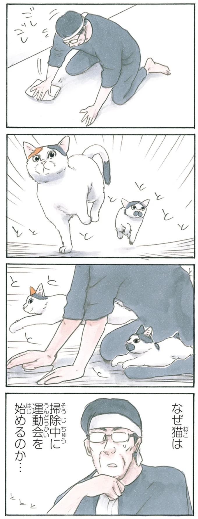  なぜ猫は