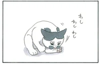 逆にひどくなってない？ 毛並みを整えていたはずの猫の話／拾い猫のモチャ8（7）