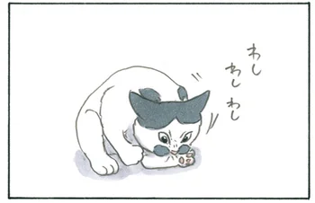 逆にひどくなってない？ 毛並みを整えていたはずの猫の話