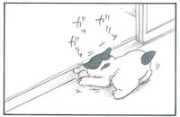 何やってるんだろう？ 熱心に溝をほじっている猫、その行動の真意とは