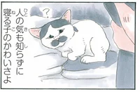 人の気も知らずに！ いなくなった猫を捜索したら可愛い姿で見つかりました