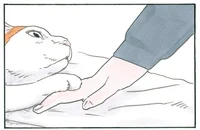 猫の誘惑には勝てません！ 「行かないで」の仕草に抗えない