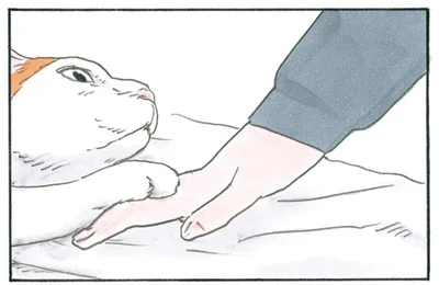 待って