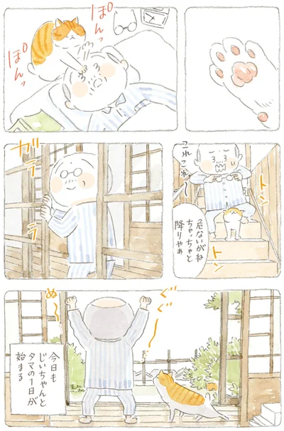 ぽんっぽんっ