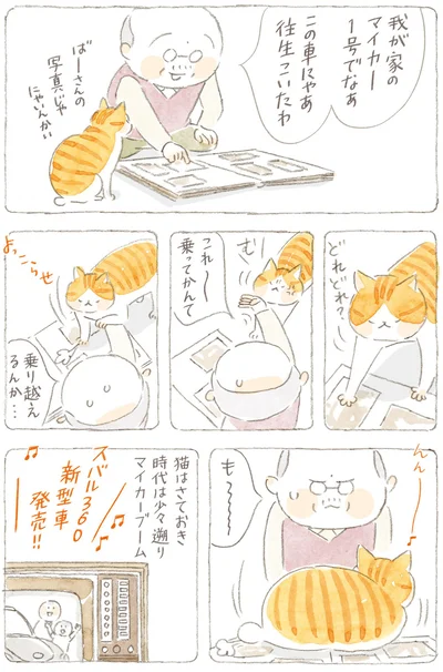 『ねことじいちゃん7』より