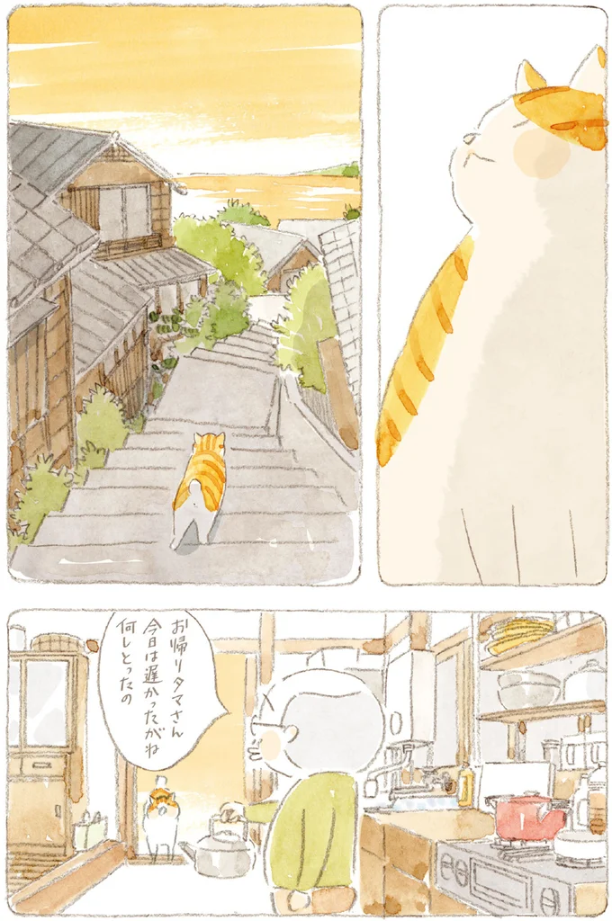 今日は遅かったがね