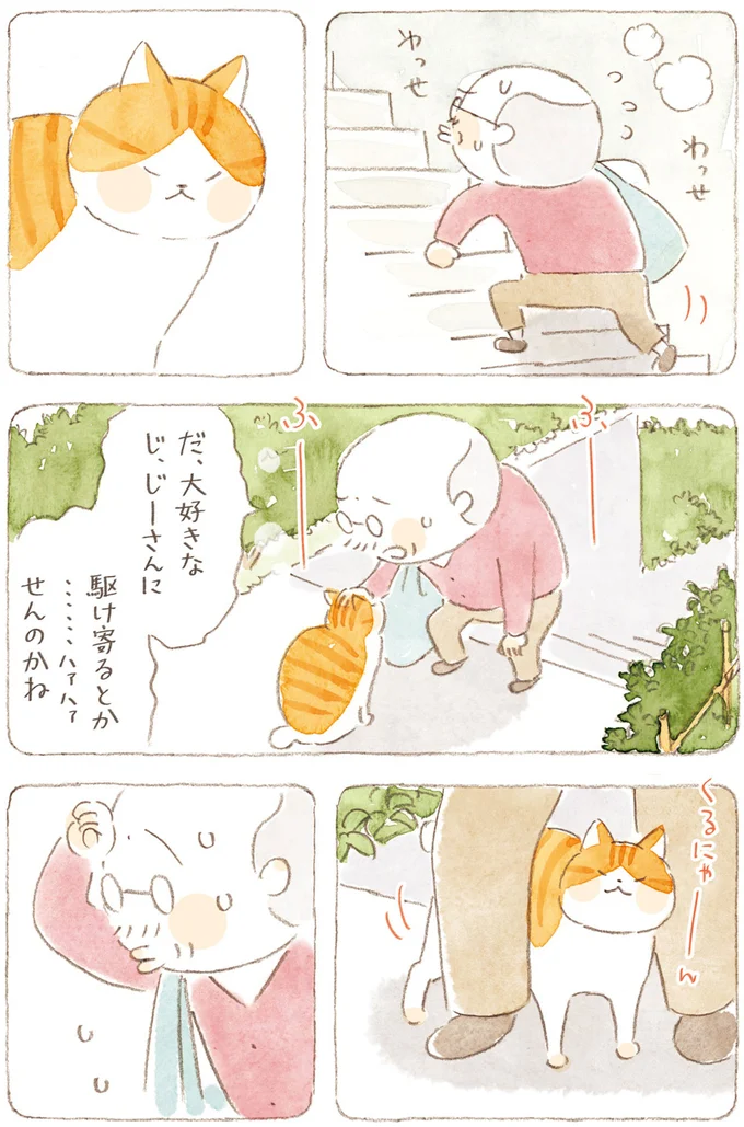 わっせわっせ