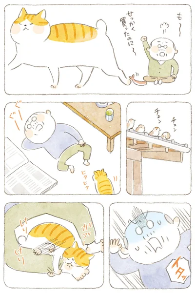 『ねことじいちゃん9』より