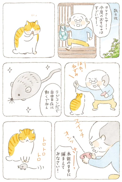 『ねことじいちゃん9』より