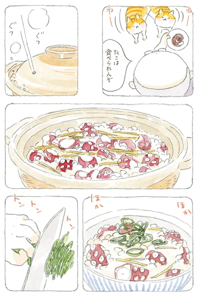 『ねことじいちゃん9』より