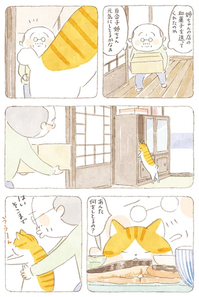 『ねことじいちゃん9』より