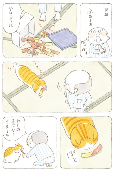 『ねことじいちゃん9』より