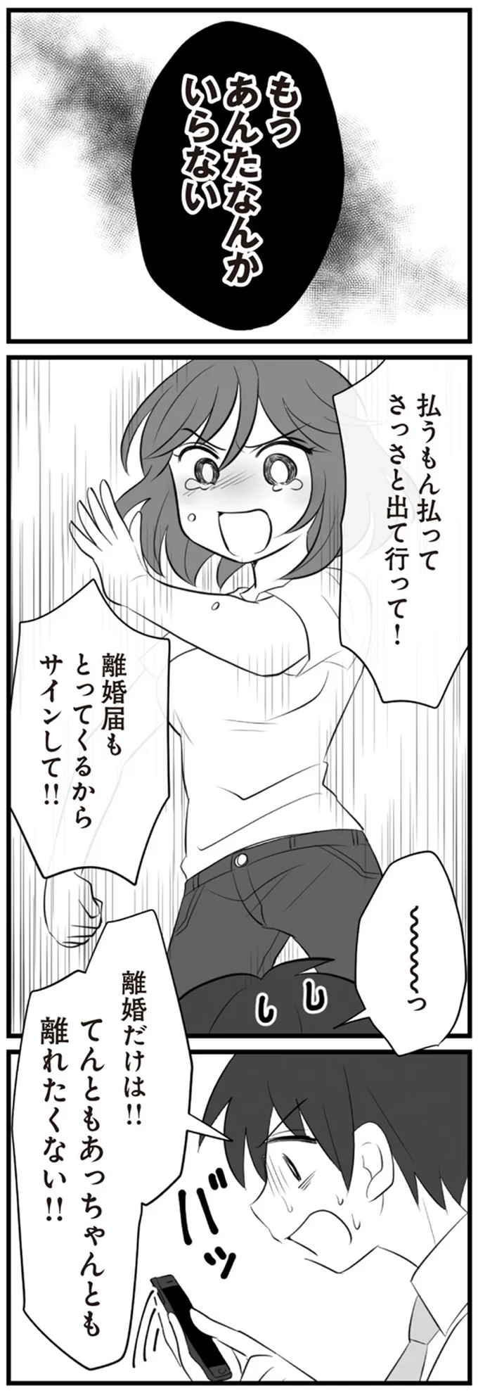 もう　あんたなんかいらない