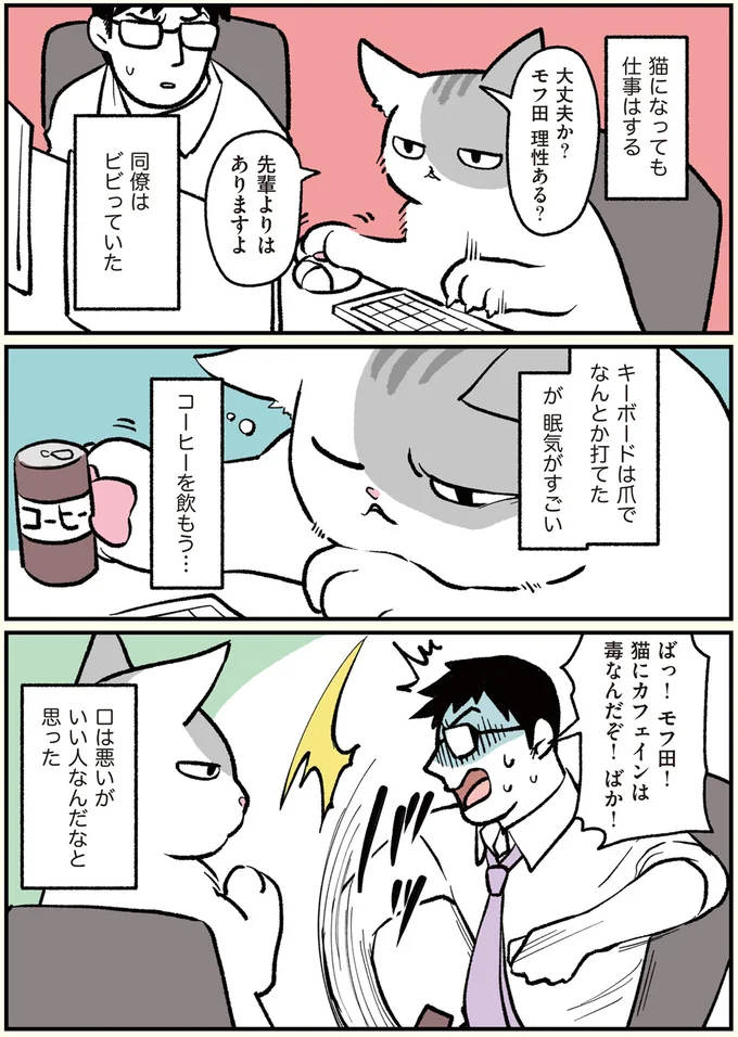 口は悪いがいい人なんだな