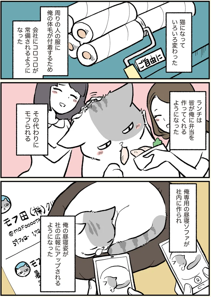 俺専用の昼寝ソファが社内に作られ