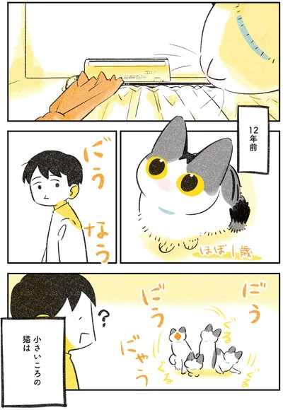 12年前