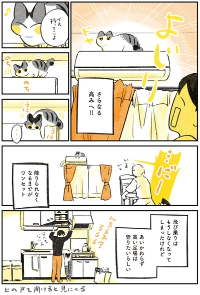  さらなる高みへ！！