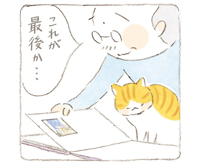 アルバムの最後に貼られた妻の写真。父と息子が当時交わした約束とは／ねことじいちゃん 7（5）