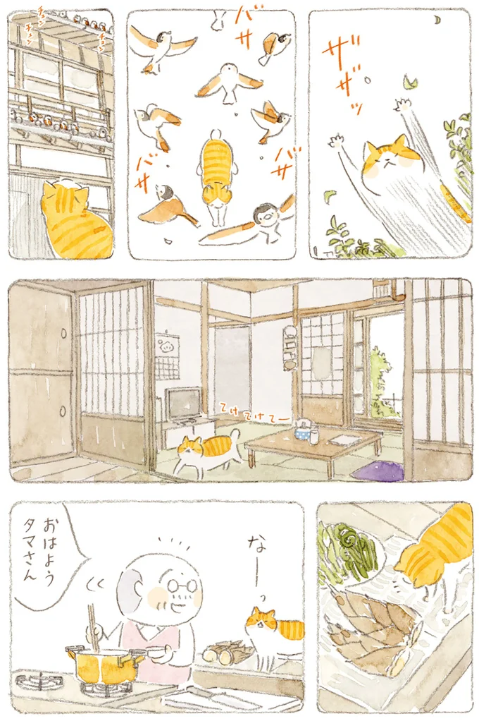 おはようタマさん