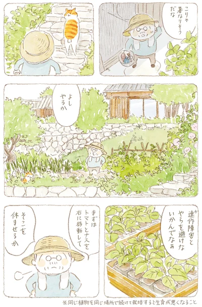 こりゃ暑なりそうやな