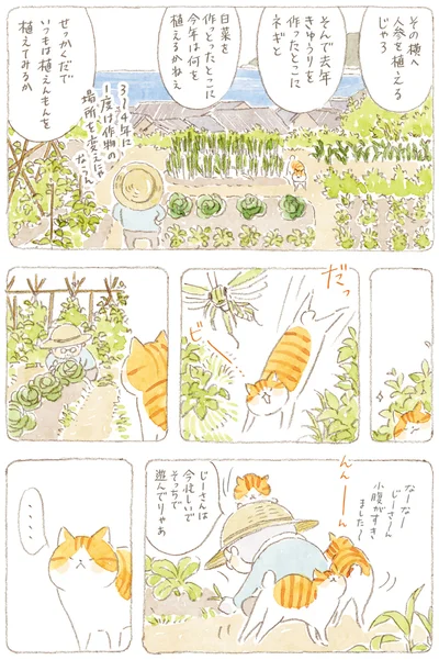 じーさんは今忙しいで　そっちで遊んでりゃあ