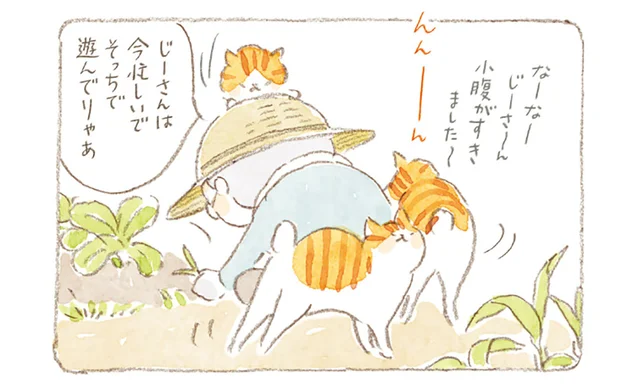 「タマさんにはこれな」おむすびを持って畑仕事に出かけるじいちゃん／ねことじいちゃん 8（3）