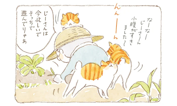 「タマさんにはこれな」おむすびを持って畑仕事に出かけるじいちゃん／ねことじいちゃん 8（3）