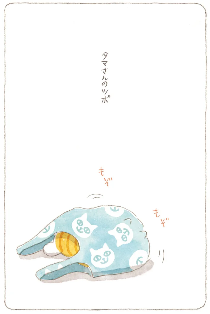 タマさんのツボ
