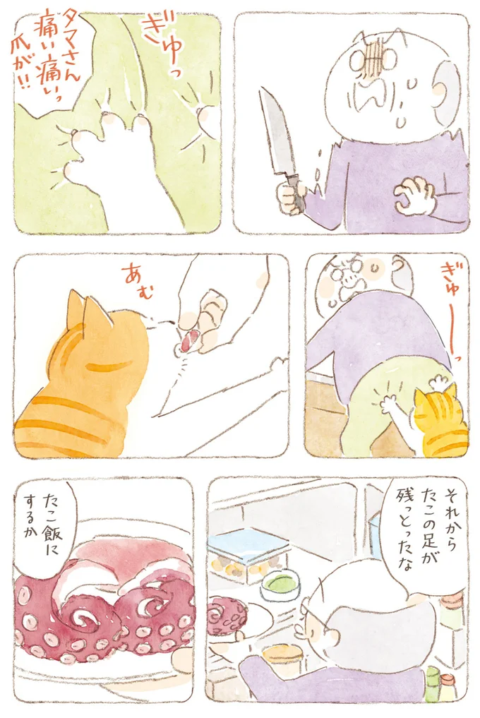たこ飯にするか